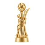 Ukraine Cup logo