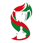 Welsh League Cup logo
