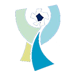 TFF Süper Kupa logo