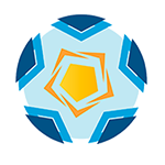 Primera Nacional logo
