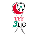 TFF 3. Lig, Playoffs logo