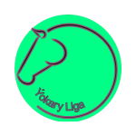 Ýokary Liga logo