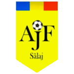 Liga 4 Sălaj logo
