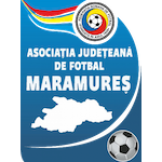 Liga 5 Maramureș logo