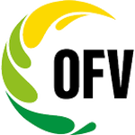 2. Liga OFV logo