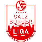 Landesliga Salzburg logo