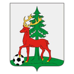 Yelets Championship logo