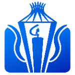 U17 Super Copa Capital logo