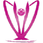 Amapazão, Feminino logo