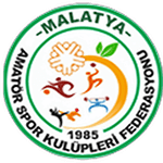 Malatya Süper Amatör Ligi logo