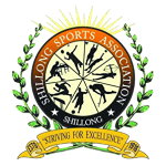 SSA First Division logo