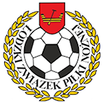 Puchar Polski ŁZPN logo
