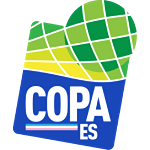 Copa Espírito Santo logo