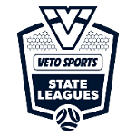 State League 2 South-East logo