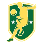 NFCA Abeokuta South Coaches League logo