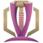 Catarinense, Feminino logo
