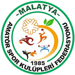Malatya 1. Amatör Ligi logo