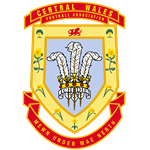 CWFA Senior Cup logo
