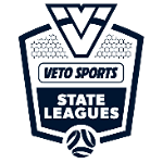 State League 4 South-East logo