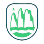 Copa de la Liga  logo