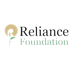 U21 Reliance Foundation Development League - National logo