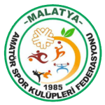 U13 Malatya Amatör Lig logo