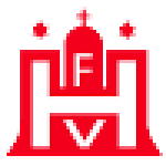 HFV-Super-Cup logo