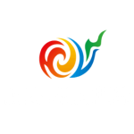 Northeast Region City Football League logo