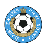Klasa C - Śląska logo