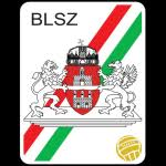 U17 BLSZ Ifjusagi Bajnokság logo