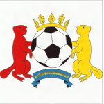 Brody District Football Association logo