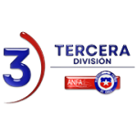 U17 Tercera División B logo