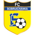 Bobruichanka Women logo
